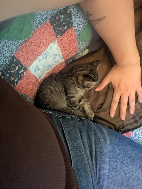 My bubba passed away suddenly.