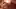 [MF] cuties resting (kawfee)