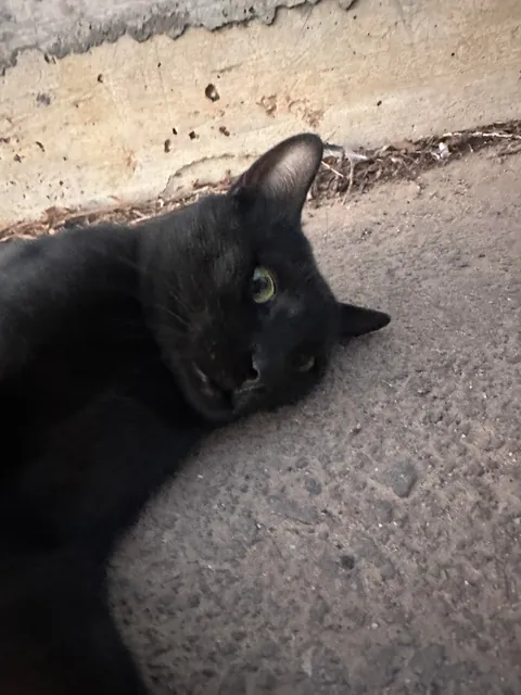 I think I really fucked up :(