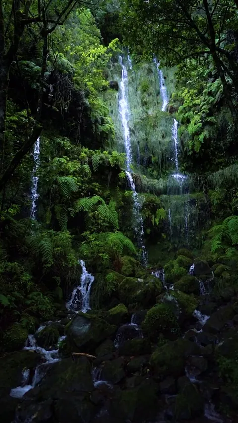 Beautiful waterfalls! (Disclaimer: not mine, pm me if you know who’s this is and I’ll credit or take down.)