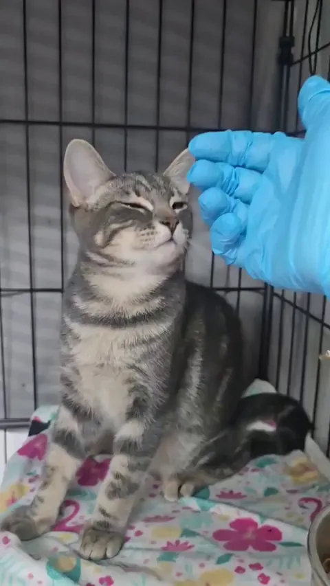 Jorn from our shelter is also a lover ❤️❤️❤️