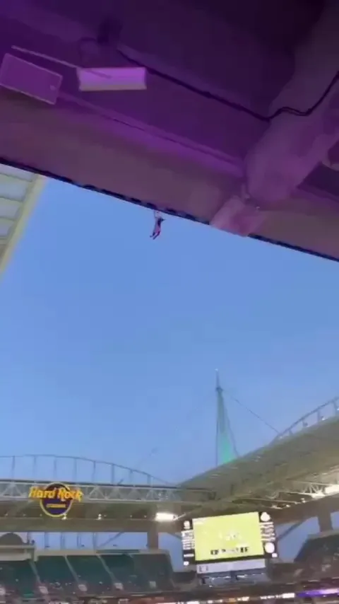 Tom Cat the Cruise , Catch Mission Possible 👀