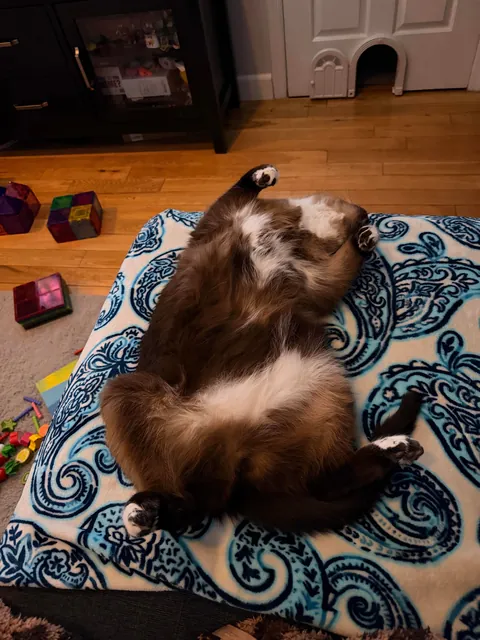 I didn’t know it would be our last day together