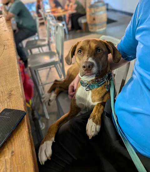 Went out with my best friend last night. Had a blast.