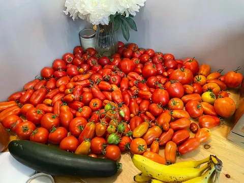 Anyone else save crushed eggshells all winter and till them into the garden? Does it really add calcium or am I just imagining the great results?