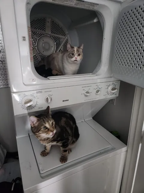 Hired professionals to fix my Dryer/Washer