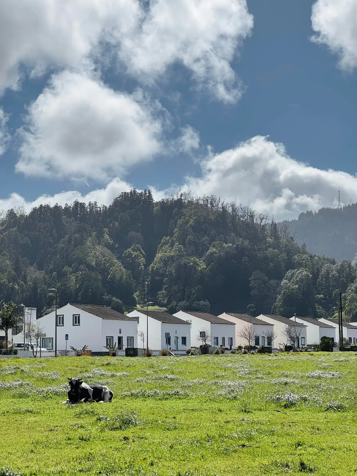 São Miguel, Azores (Portugal): A paradise for nature lovers