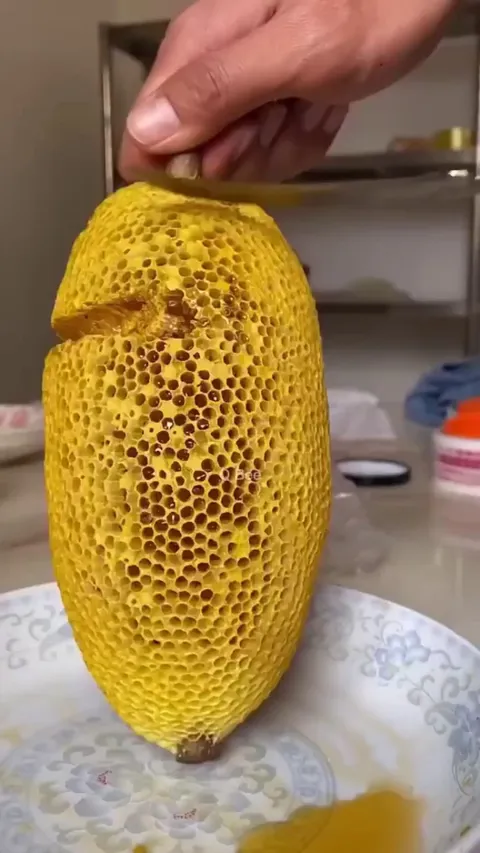 Cutting into some honey