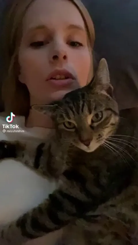 Cat learning to brush hair