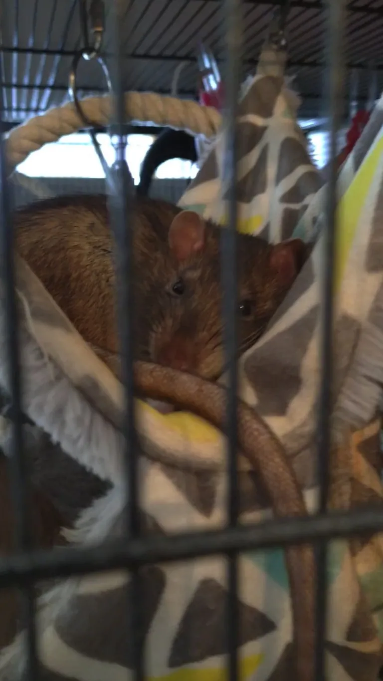 He just looked at me and boggled