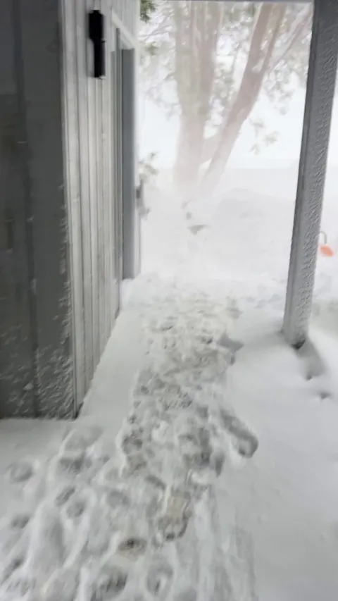 So much for spring. At least work has snowshoes.