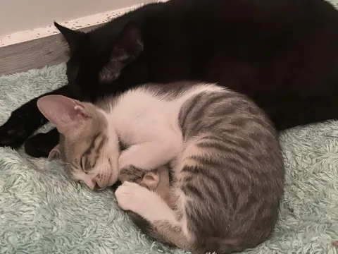 7 years with my Middle Eastern girl