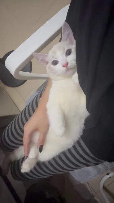 My sweet little one loves it when I hold him like this every day.