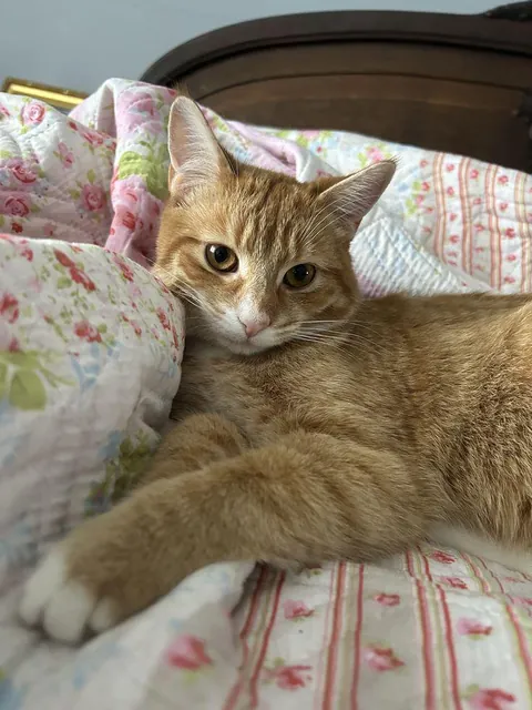 My favorite Buddy need name started m letter