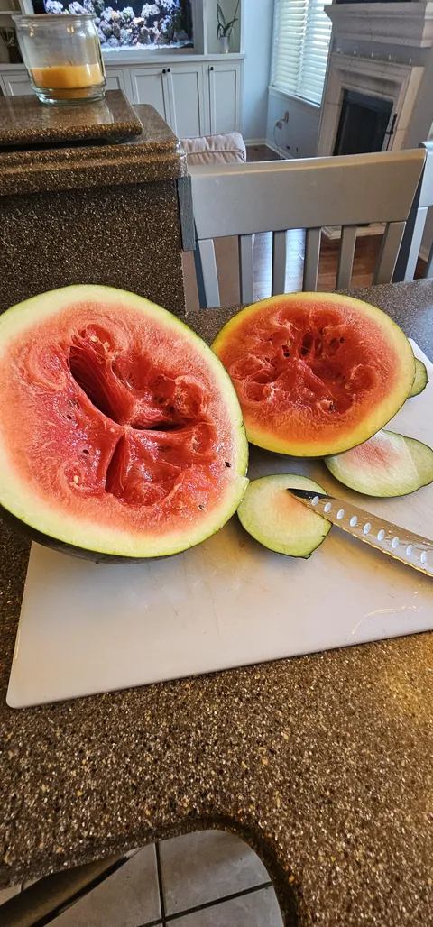 WTF happened to my watermelon?