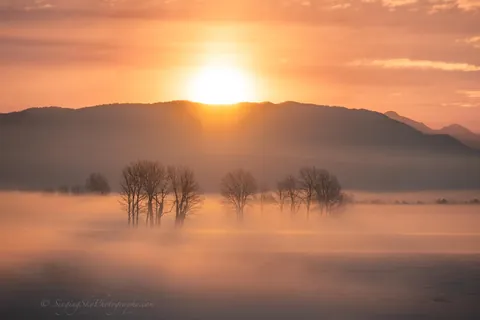 🔥Foggy Landscapes