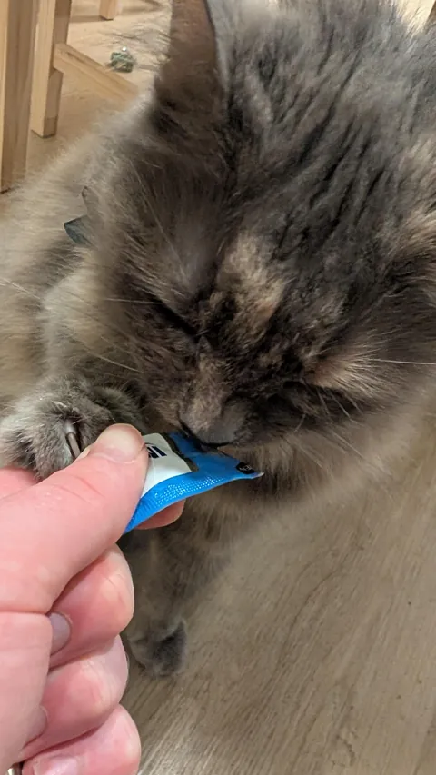 My girl turned 15 this week