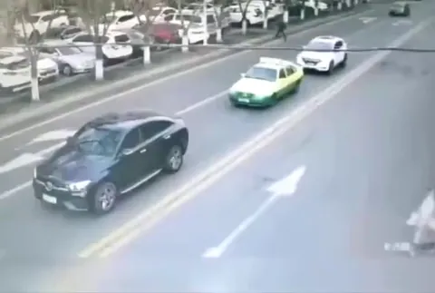 I’m convinced some people are just born without brains