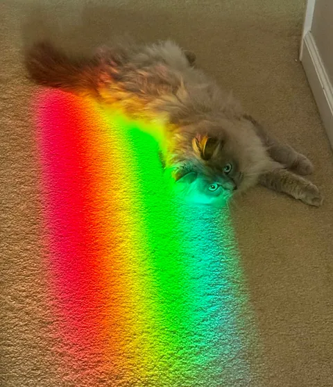 I found what was at the end of a rainbow…I was not disappointed 🥰