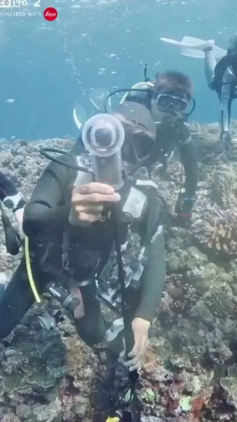 Footage of diving instructor Miyakojima Kuni-san dropping his camera into a hole underwater