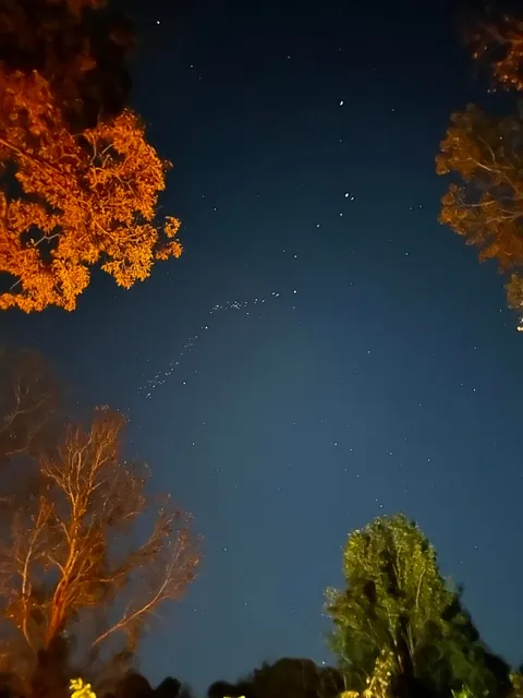 What are these? I’ve seen starlink and these don’t look like it. In North Carolina 