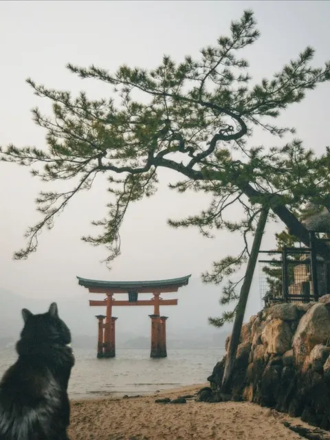 I made a calendar for my gf with edited photos of our void baby and I just needed to share them lol!