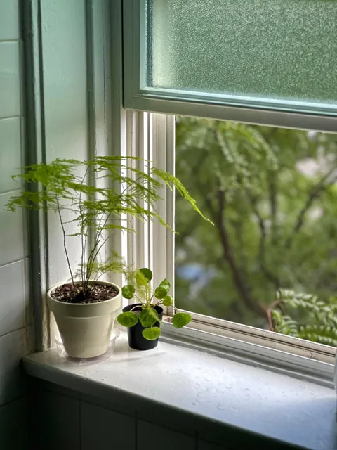 This is our little hideaway in this big, crazy world