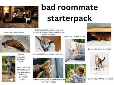 bad roommate starterpack