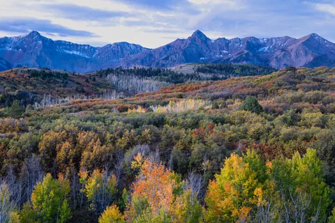 An Early Morning Autumn Scene in Colorado with Mountains on the Horizon. [OC] [1280x854]