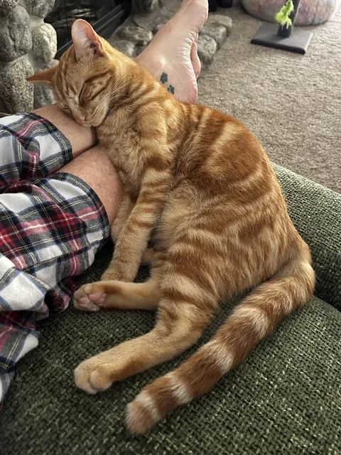 "I sleeps right here"