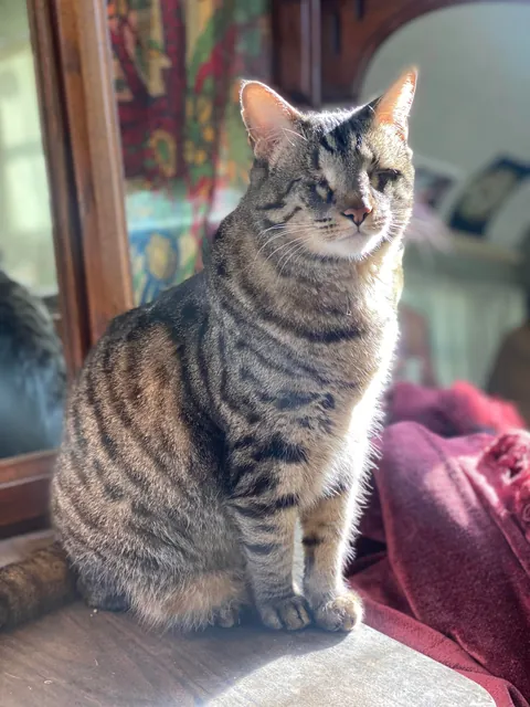 Said goodbye to my eyeless boy