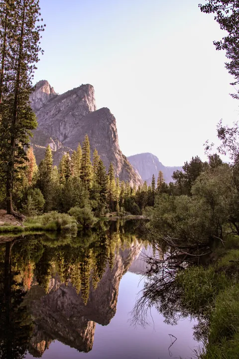 ITAP of the 3 brothers 