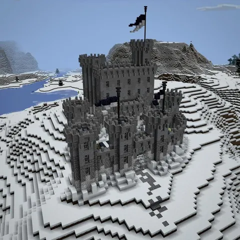 I made a castle today