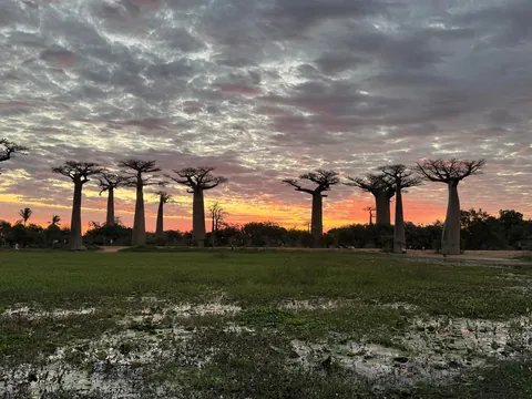 madagascar is goddamn epic