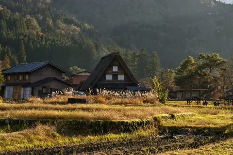Japan in Late November