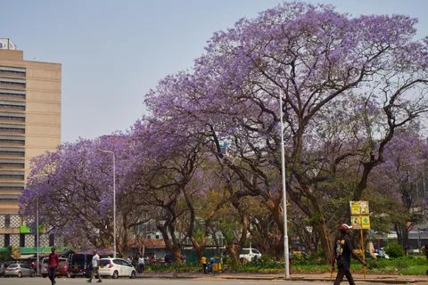 South Africa &amp; Zimbabwe