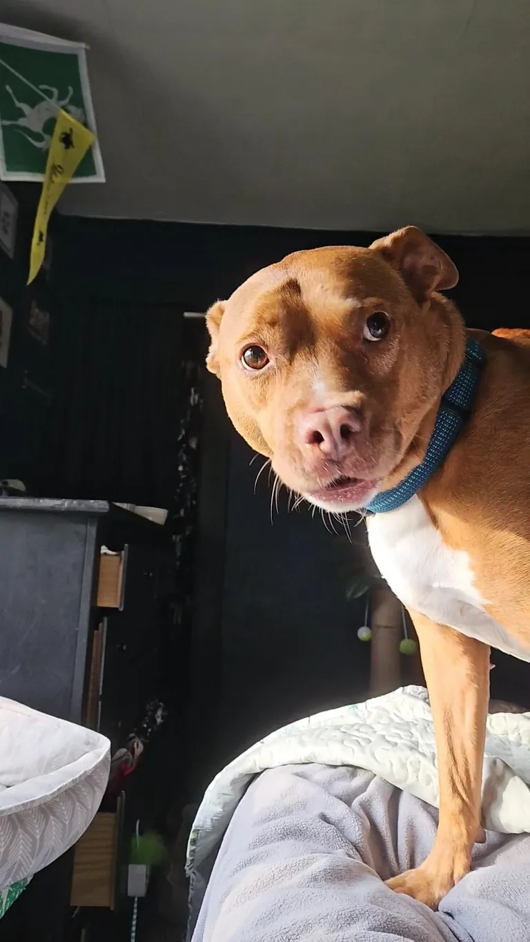 VERY concerned about a tree outside. VERY CONCERNED.