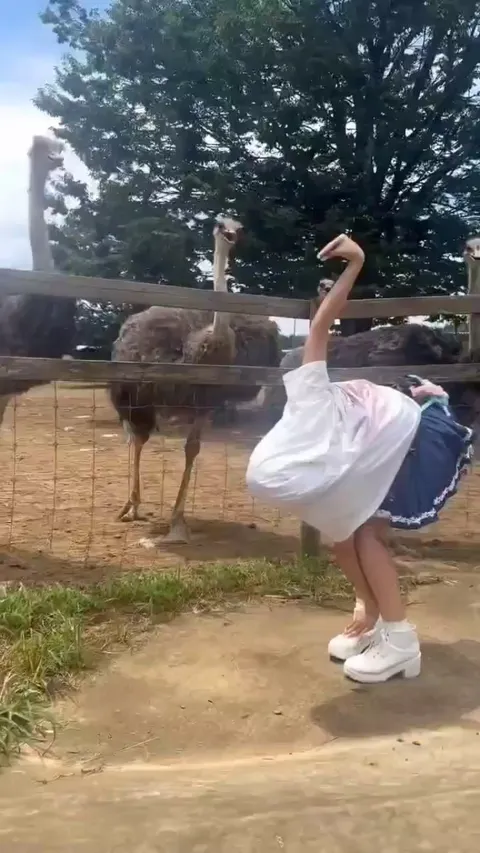 They definitely thought that its one of them😂