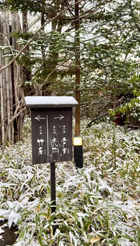 December in Kusatsu, one of the best onsen town in Japan