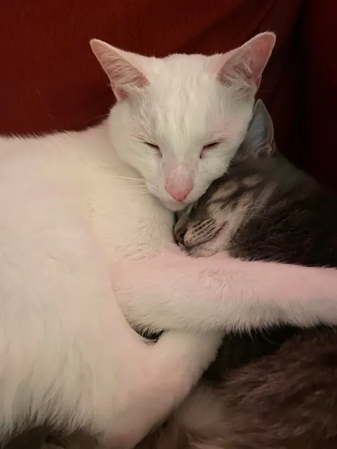 My boy is the best nanny I could ever ask for