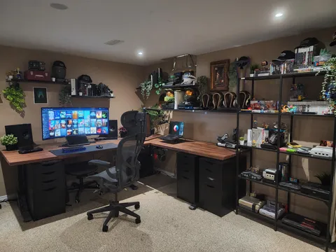 Bought some fake plants and consolidated my game collection into my battlestation.