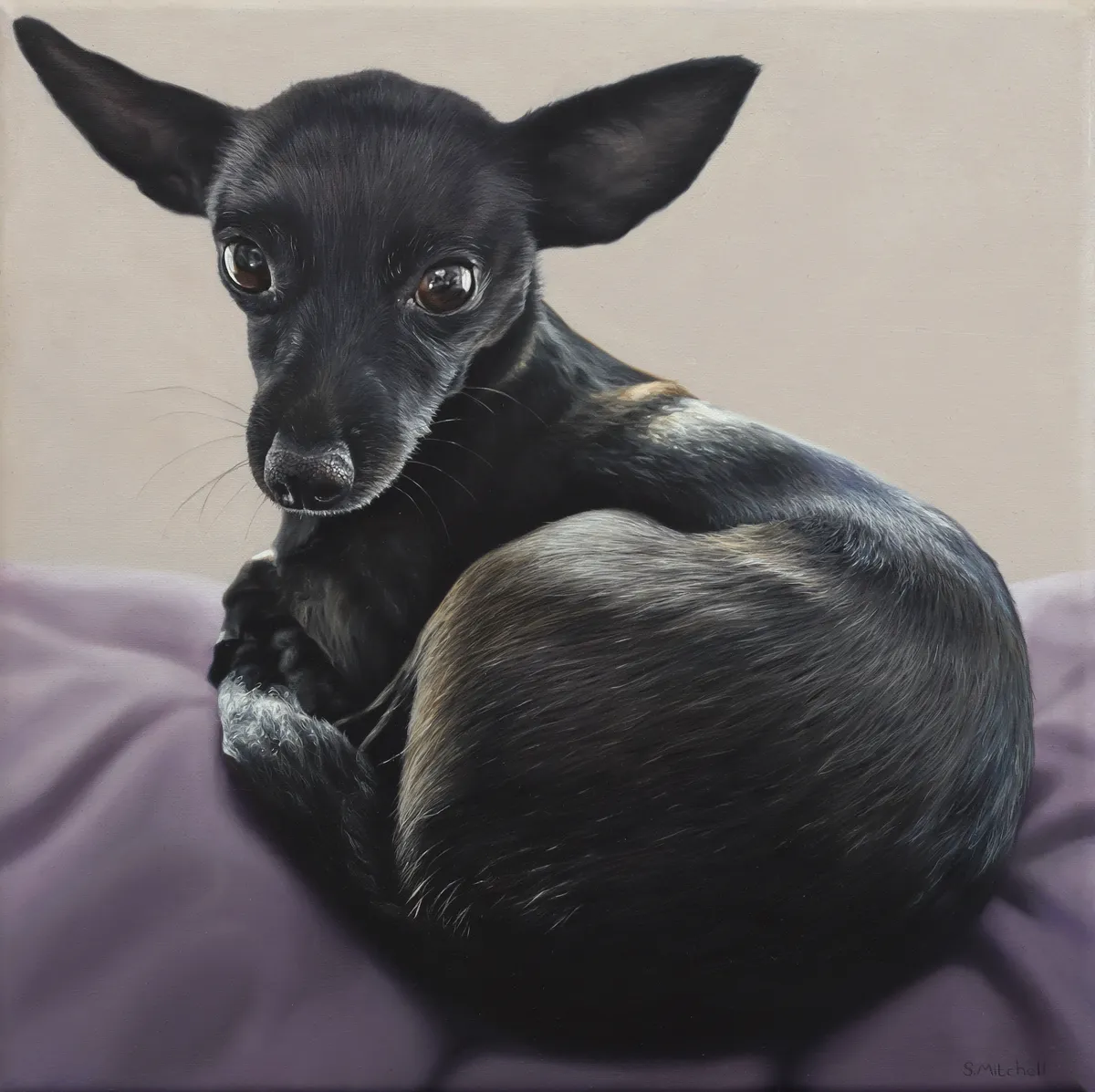 A very small 10"x10" oil painting I did of a chihuahua