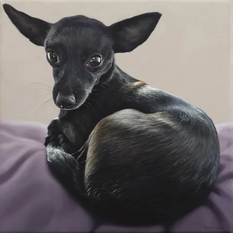 A very small 10"x10" oil painting I did of a chihuahua