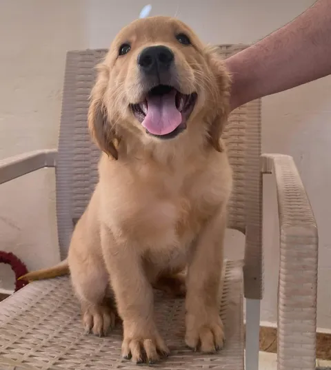 It was Passport Photo but I forgot the Hand