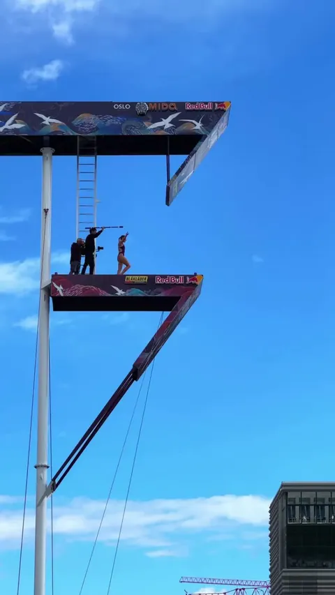 What they do 🏊‍♀️ vs what we see. 😲