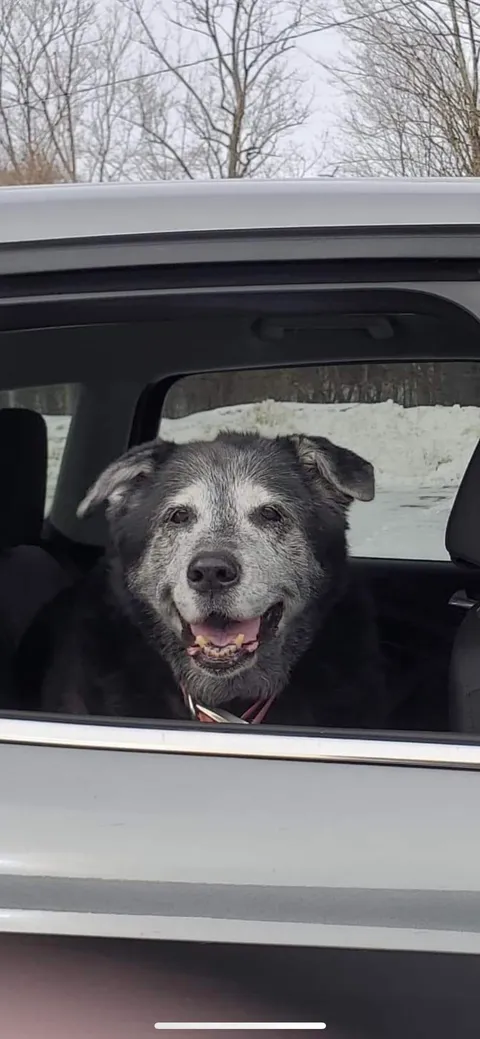 I love this girl. She’s still going strong at 13.