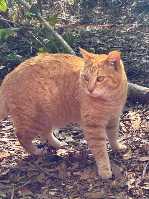 Meet Georgie everyone- A trailhead ambassador!