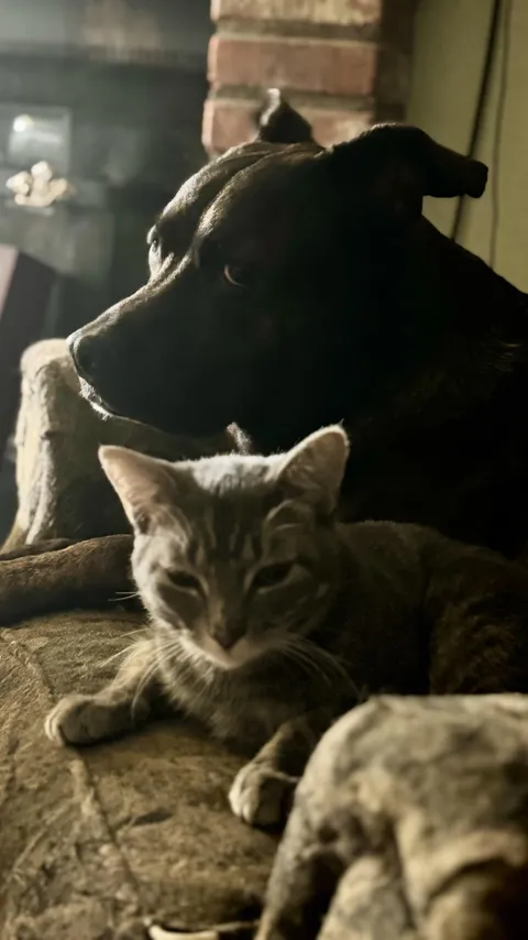 Dee-Oh-Gee looks a bit annoyed but his little buddy just loves to cuddle up with him.