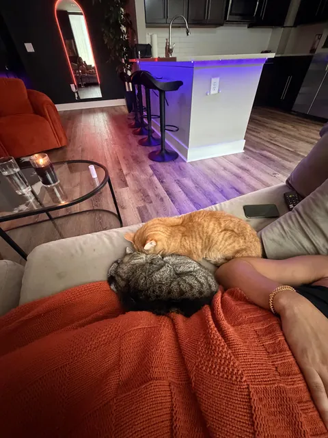 My boyfriend’s cats cuddling with him was so cute that I think I just bonded with them on an emotional level that I didn’t know was possible for pets?