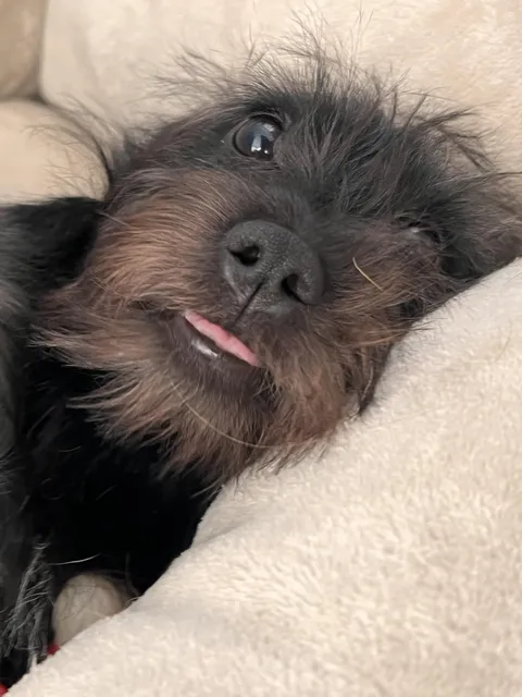 Breaking my heart from cuteness 